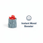 PopRex — instant mood booster infographic